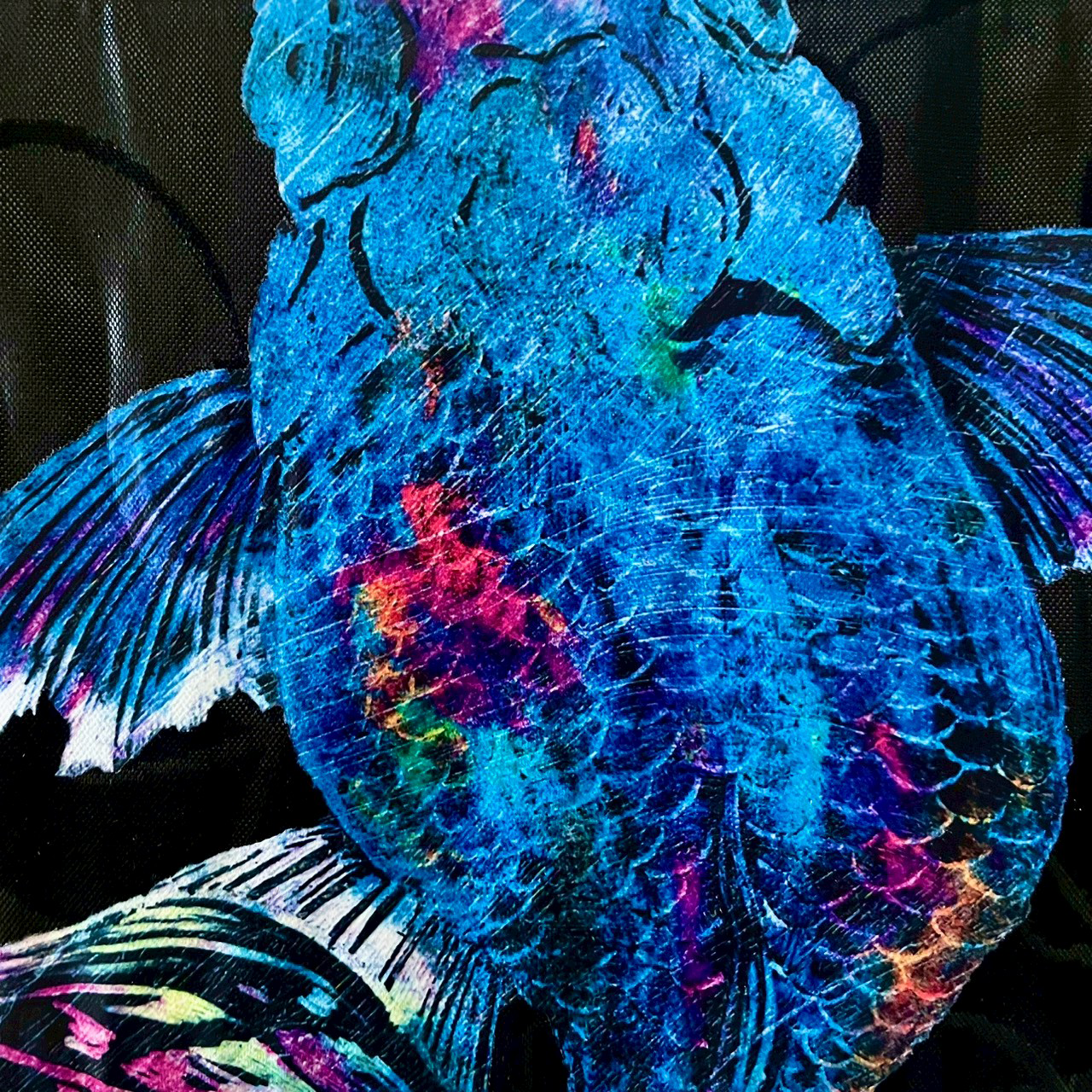 帯 ブーツ セット12