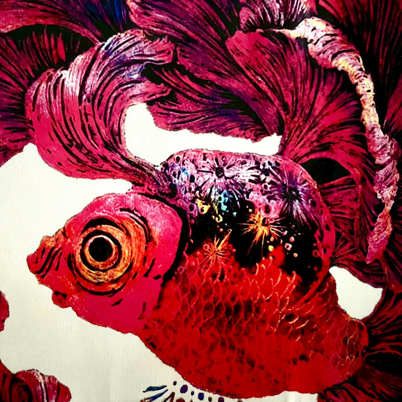 帯 ブーツ セット17